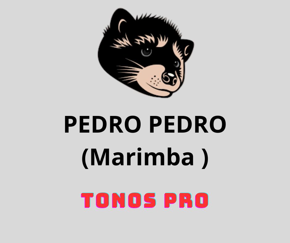 Tono PEDRO PEDRO (Marimba ) Tono MP3